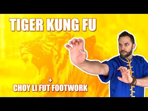Tiger Kung Fu + Choy Li Fut Footwork
