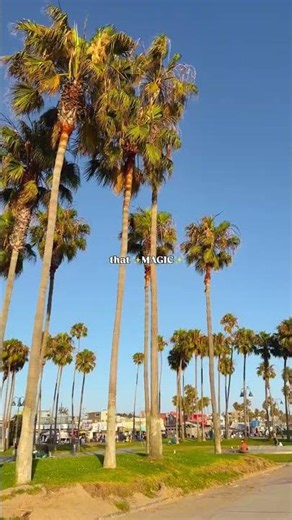 Los Angeles is one of those cities you have to experience at least once ✨🌴 Follow
