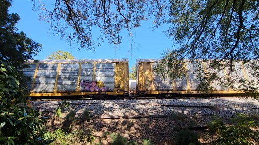Northbound CSX autorack train M210, the bane of my existence costing me shots of heritage units the last 2 days, pulling out of Manchester, Georgia on the Lineville Subdivision on 10-25-2025 @ 2:12pm. And of course it is stopping on the runaround track. | Trackside Clix