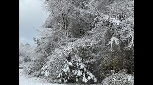 Parts of Suffolk got up to three inches of snow