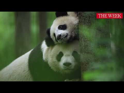 Recent scientific breakthroughs