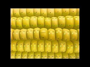 Hagoromo はごろもフーズ 〈シャキッと!コーン〉 1999年 CM