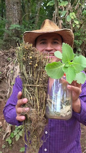 Tips para dar a luz naturalmente y cena saludable