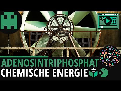 ATP Adenosintriphosphat │Biologie Lernvideo [Learning Level Up]