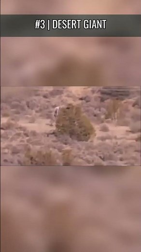 4 Creepiest Paranormal Moments Caught on Camera — Road Cam, Desert & Home Footage