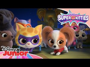 Ağızları Açık Bırakan Şov 🤩😲 | Süper Kediler | ‪@DisneyPlusTR‬