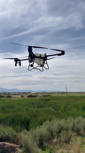 Innovaciones en Agricultura de Precisión con DJI