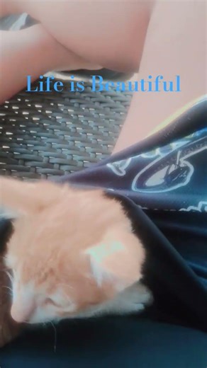 nature is beautiful #helpmemakethismakesense #animation #mychannel #youtuberslife #sticknodes