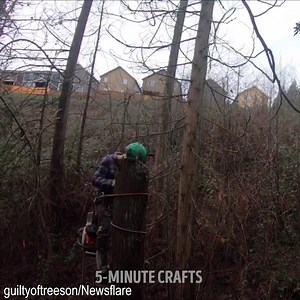 377K views · 531 reactions | Close call! Professional arborist narrowly escapes falling tree accident  | 5-Minute Crafts | Facebook