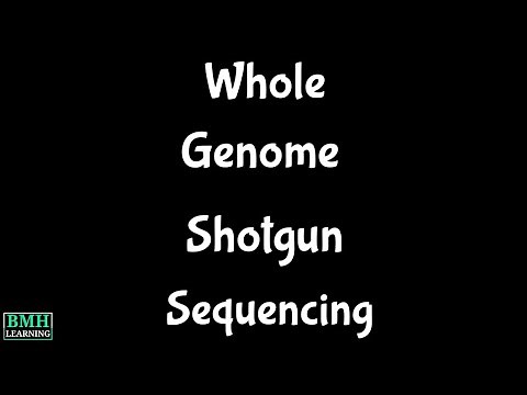 Whole Genome Shotgun Sequencing | Genome Sequencing |