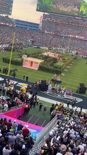 This is exactly why you NEVER skip the super bowl halftime show 🇵🇷 …#nfl