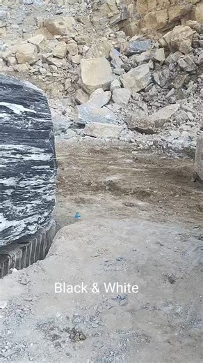 Black & White (@star_zebra_1)’s videos with оригинальный звук - An..