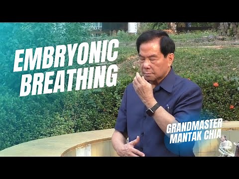 Embryonic breathing technique. Qigong and breathwork practice with Taoist Master Mantak Chia ☯️
