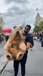 304K views · 5.6K reactions | To celebrate @floofbybrodie coming to Amazon, Brodie visited Disney World! Check us out now! 欄 (Note: Brodie is a task-trained service animal which grants him access rights to venues like this) #doggrooming #disneyworld #goldendoodle | Brodie That Dood | Facebook