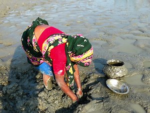 42K views · 243 reactions | Amazing Hand Fishing | Village 74 | Facebook