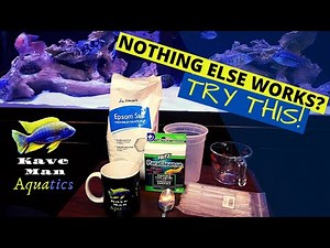 Internal Parasites In Fish - (A Last Resort Treatment)