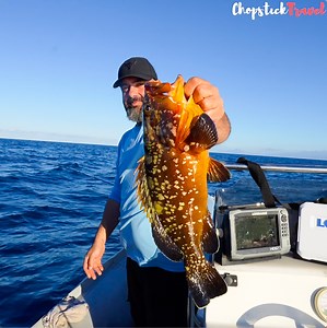 32K views · 608 reactions | Insane Seafood Catch & Cook in Greece!!  | Chopstick Travel | Facebook