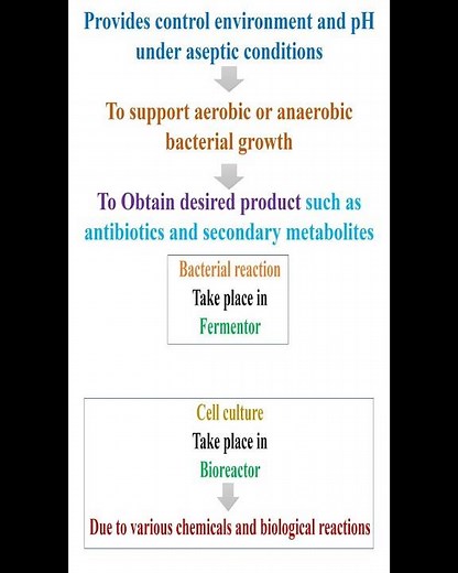 Functions of Fermentor and Bioreactor #geneticteacher