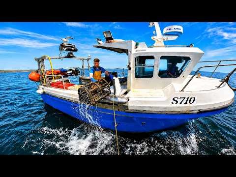 Huge Lobster Fishing Alone in the Atlantic Ocean!