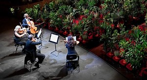 Barcelona opera house reopens with concert for over 2,000 houseplants