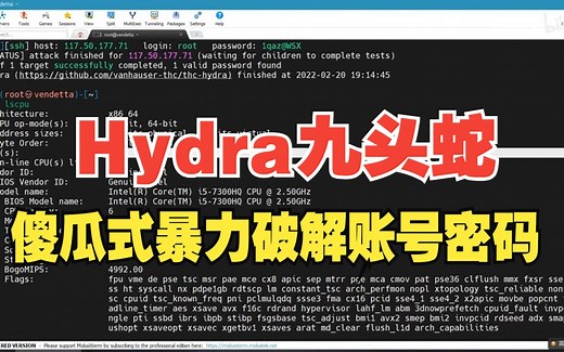 【Hydra九头蛇】10秒钟傻瓜式暴力破解账号密码（附安装包&字典），kali_web_渗透测试_网络安全_密码破解工具