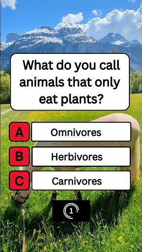 What do you call animals that only eat plants? #shorts #usa #quiz