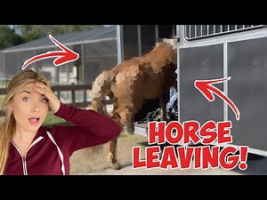 This Horse Is LEAVING The Farm! | Farm Vlog