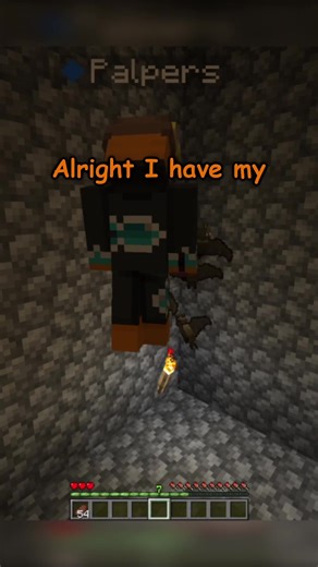 Hiding as Bats in Minecraft