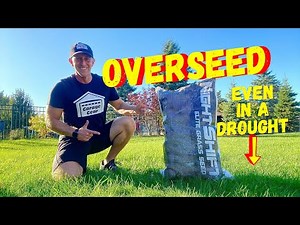How To OVERSEED A Cool Season Lawn In The Fall For Beginners