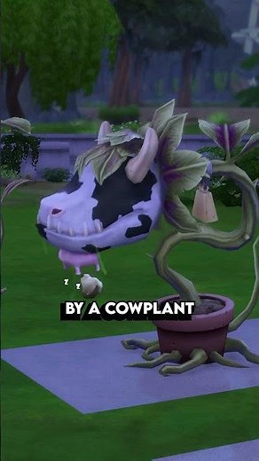 How To Age Down Sims