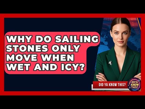 Why Do Sailing Stones Only Move When Wet And Icy? - Did Ya Know This