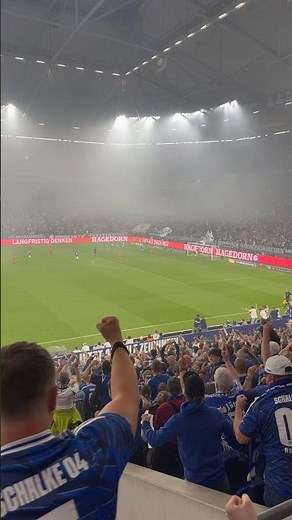 Tor Karaman ⚽️ FC Schalke 04 - Fortuna Düsseldorf 🇩🇪 2. Bundesliga 32. Spieltag 2025/2026