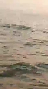 4.3K views · 103 reactions | کراچی مبارک ولیج کے قریب آج گہرے سمندر میں ڈولفنز کا نظارہ ❤❤❤ #Share | Weather of Karachi - WOK | Facebook