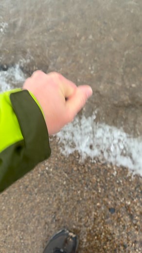 The Sage of the Dunes, Ron Seman, is seen here doing his designed MONSTER CHALLENGE 19.1 mile hike. Dominika Ksiazek starts filming it after it attacked the Sage as he was washing off some beach glass/mermaid tears. He was treated for some minor bites but no venom. #watersnake #lakemichigan #ronseman #venom #snake #bites #sage #sageofthedunes #ronseman.com #indianaduneshiking #indianadunes #indianadunesstatepark | Indiana Dunes Hiking