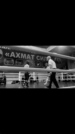 Top Boxing Moments You Don't Want to Miss