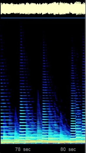 Contrapunctus V (Bach) with Moog Source VCO on breadboard - excerpt 2 #analogsynthesizer #synth