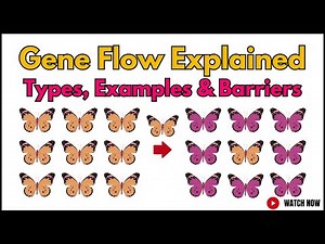 Gene Flow: Types, Examples & Barriers | Genetic Information Flow in Plants, Animals & Humans