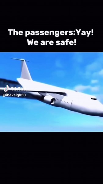 Inside the Cockpit: A Pilot's Perspective