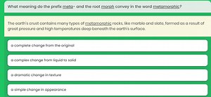 What meaning do the prefix meta- and the root morph convey in t... | Filo