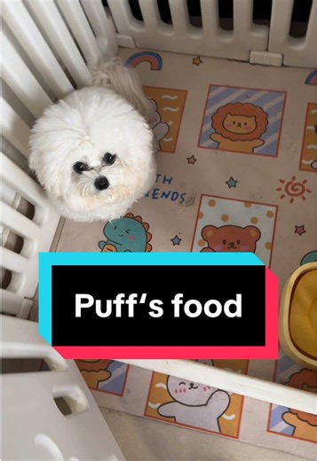 Healthy Homemade Dog Food Recipe for Your Puppy