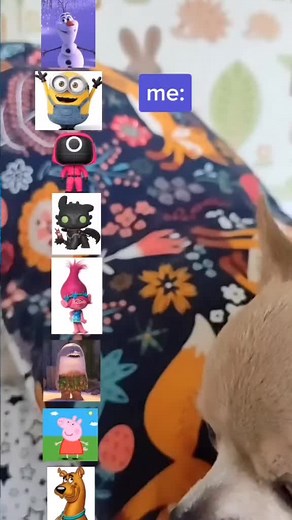 piksi💕 (@piksi_dog)’s videos with BOTTLE CHALLENGE - Foodies