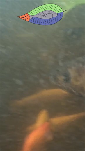 🚀 Dive into the world of fish management! 🐟🌱 Discover the secrets to maximizing fish production through effective stock management. Take your Aquaponics system to new heights! https://f.mtr.cool/acgrqtjpts | Aquaponics Revolution