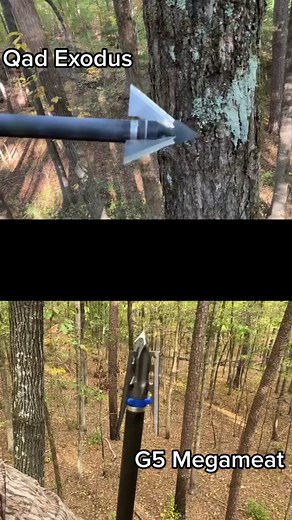 Best Broadheads for Bowhunting: G5 Megameat vs Qad Exodus