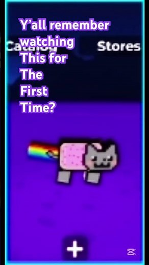 “Pop tart cat”🔥🔥🗣️🗣️🗣️