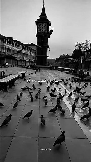 Let the world burn – Chris Grey | dark aesthetic lyrics edit | "if I can't have you" status 🔥🥀