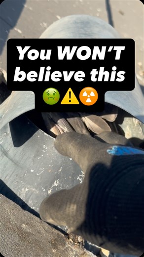 Golden Rays Solar & Cleaning Company | Pigeon Control on Instagram: "😱 Think this cute pigeon nest on your roof vent is harmless? Think again! ( Let’s Ignore the bad solar bird mesh installation on this discussion ) That “cozy” spot is actually your home’s critical plumbing vent stack – and birds nesting there can spell BIG trouble: • Blocked vents → Slow drains, gurgling toilets, and nasty sewer gases backing up into your house 🏠💨 • Debris buildup → Potential plumbing clogs and expensive rep