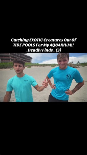 Nick Bingo (@nick_bingo01)’s video of Tide Pool Finds