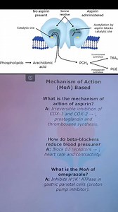 10K views · 457 reactions | Mechanism of action based #HospitalPharmacy #ClinicalPharmacy #DPharma #PharmacyStudents #PharmacyEducation #Pharmacology #MedicationManagement #PatientCare #PharmacyCareers | Medical Vidyarthi | Facebook