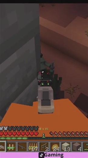 getting invaded | #shadedlightgaming on #Twitch