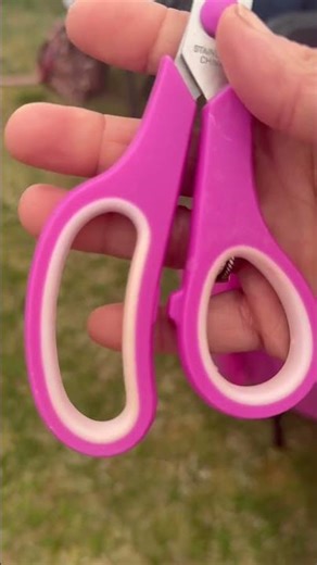 Why are these scissors THIS good?!